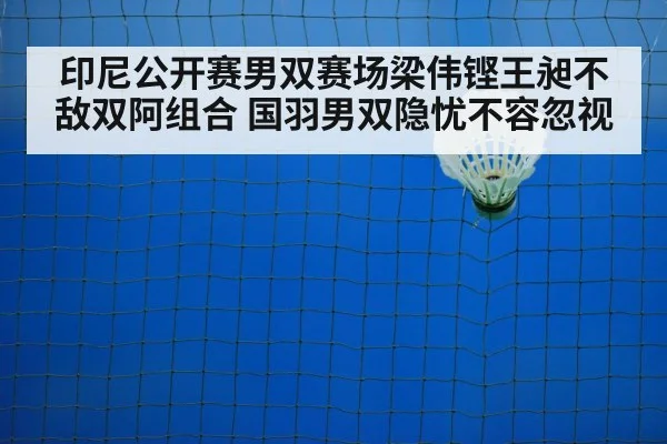 badminton net and shuttlecock